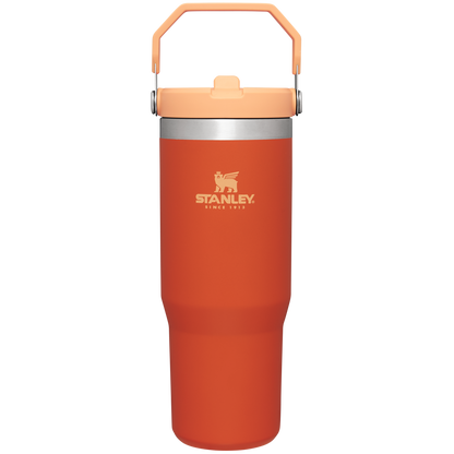 The IceFlow Flip Straw Tumbler | 30 OZ CU0