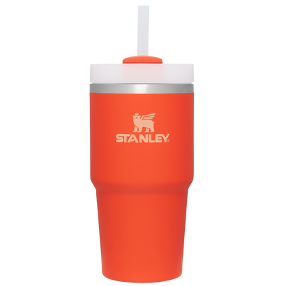 The Quencher H2.0 FlowState Tumbler | 20 OZ PS3