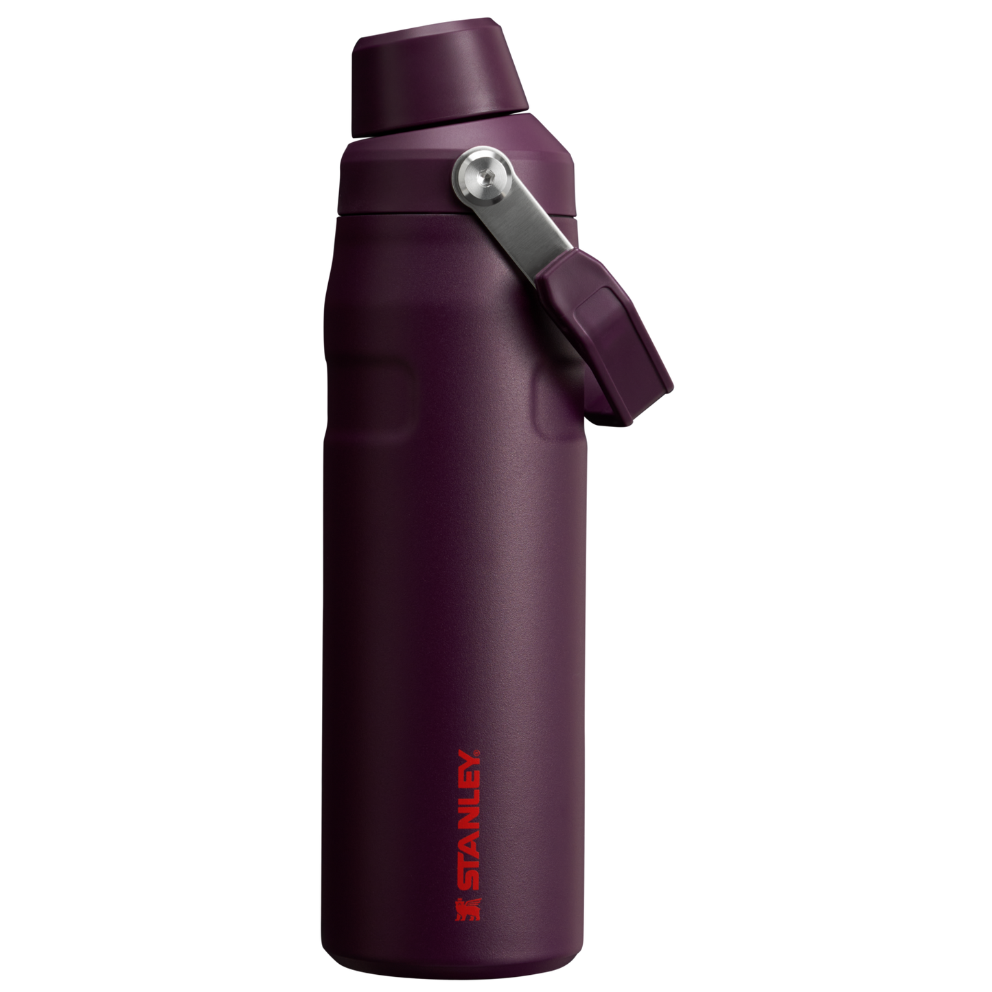 IceFlow Bottle with Fast Flow Lid | 24 OZ MY4