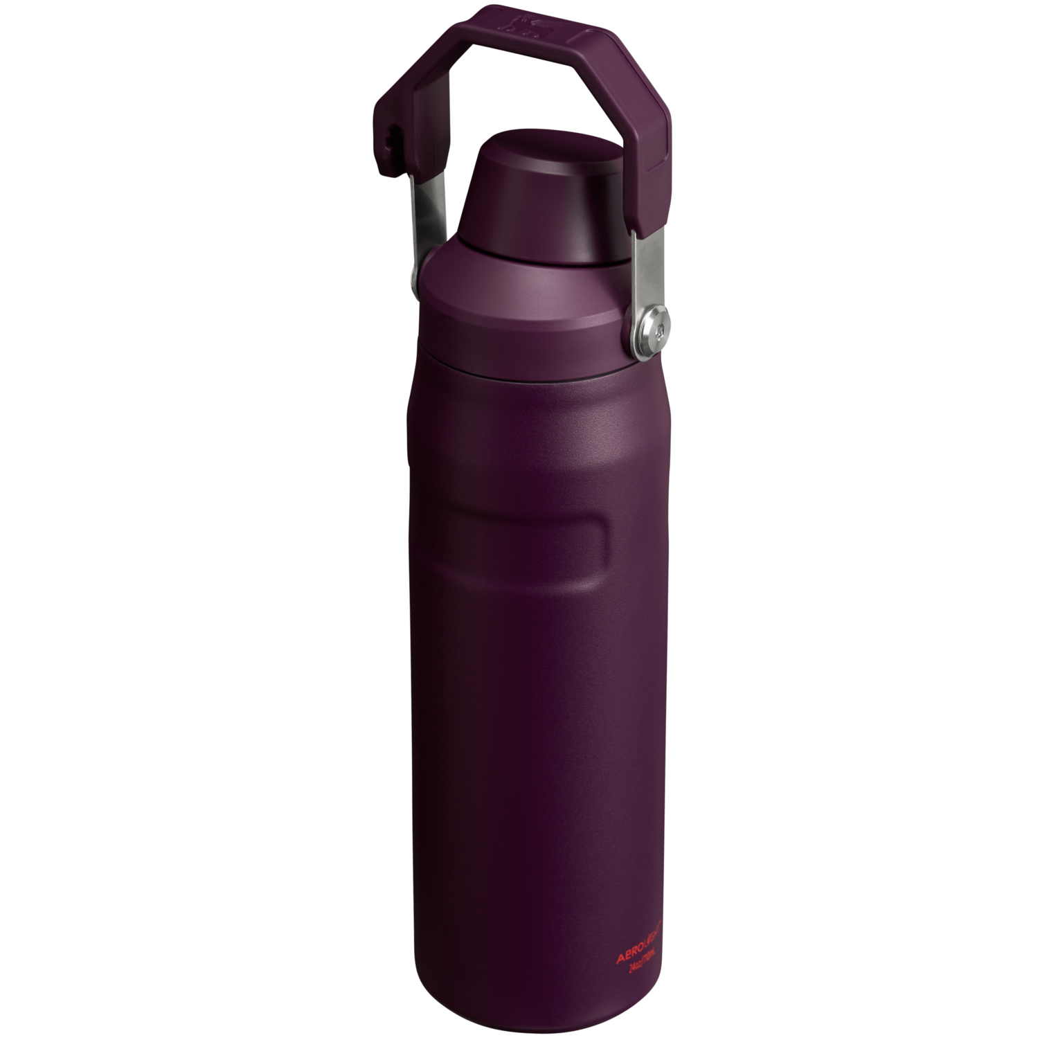 IceFlow Bottle with Fast Flow Lid | 24 OZ MY4