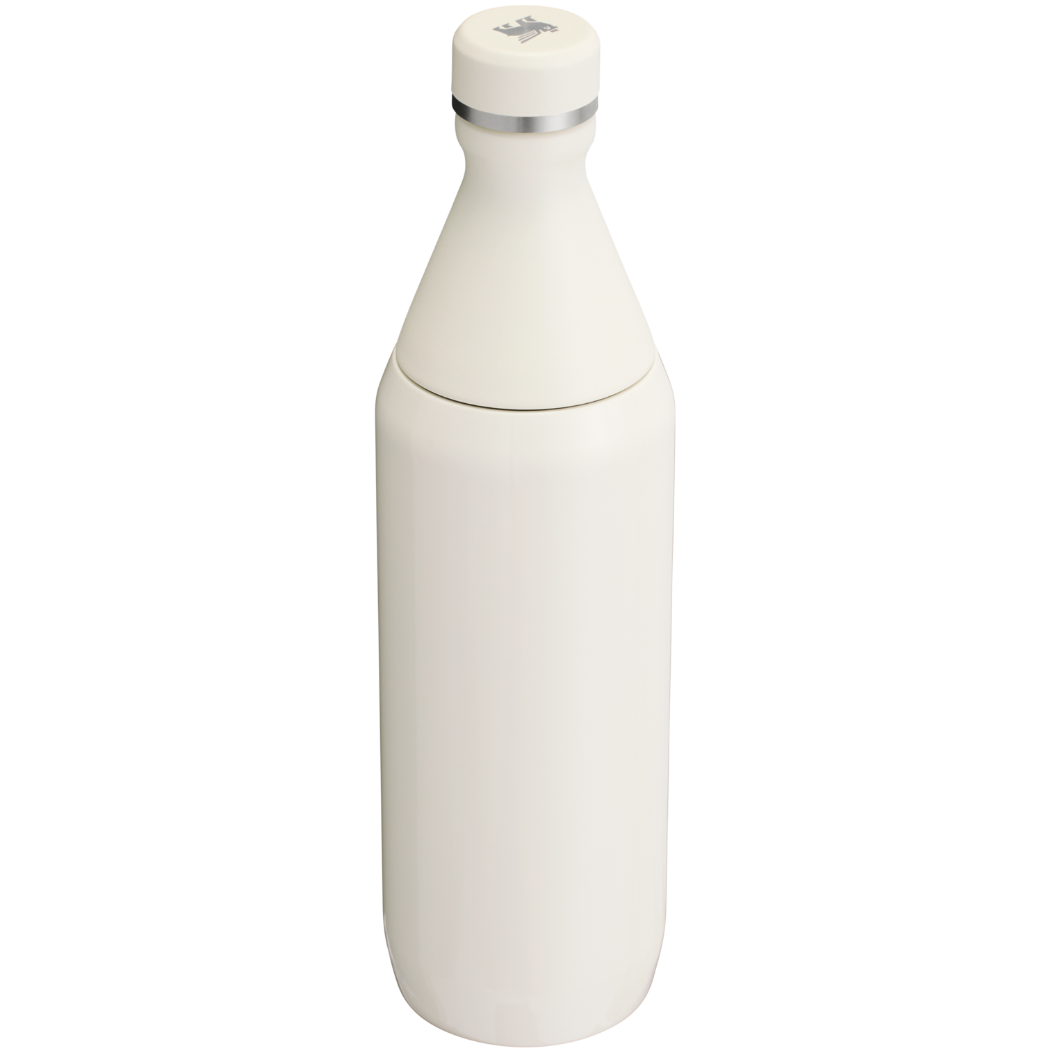 All Day Slim Bottle | 20 OZ FX2