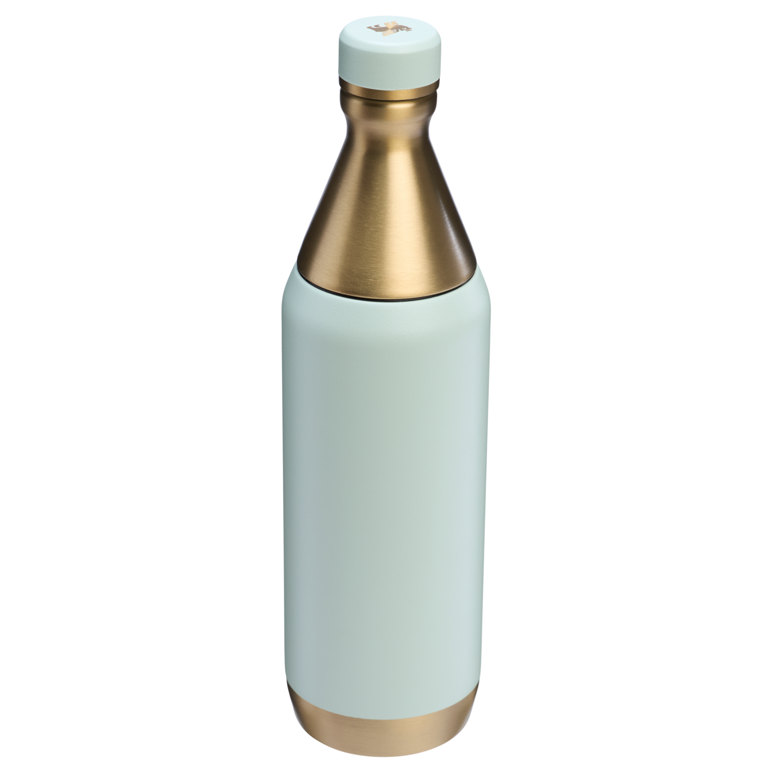 All Day Slim Bottle | 20 OZ FX2