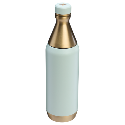 All Day Slim Bottle | 20 OZ FX2