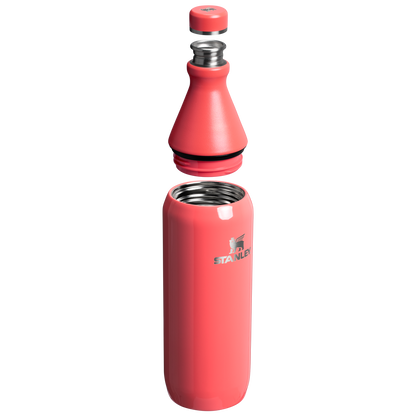 All Day Slim Bottle | 20 OZ FX2