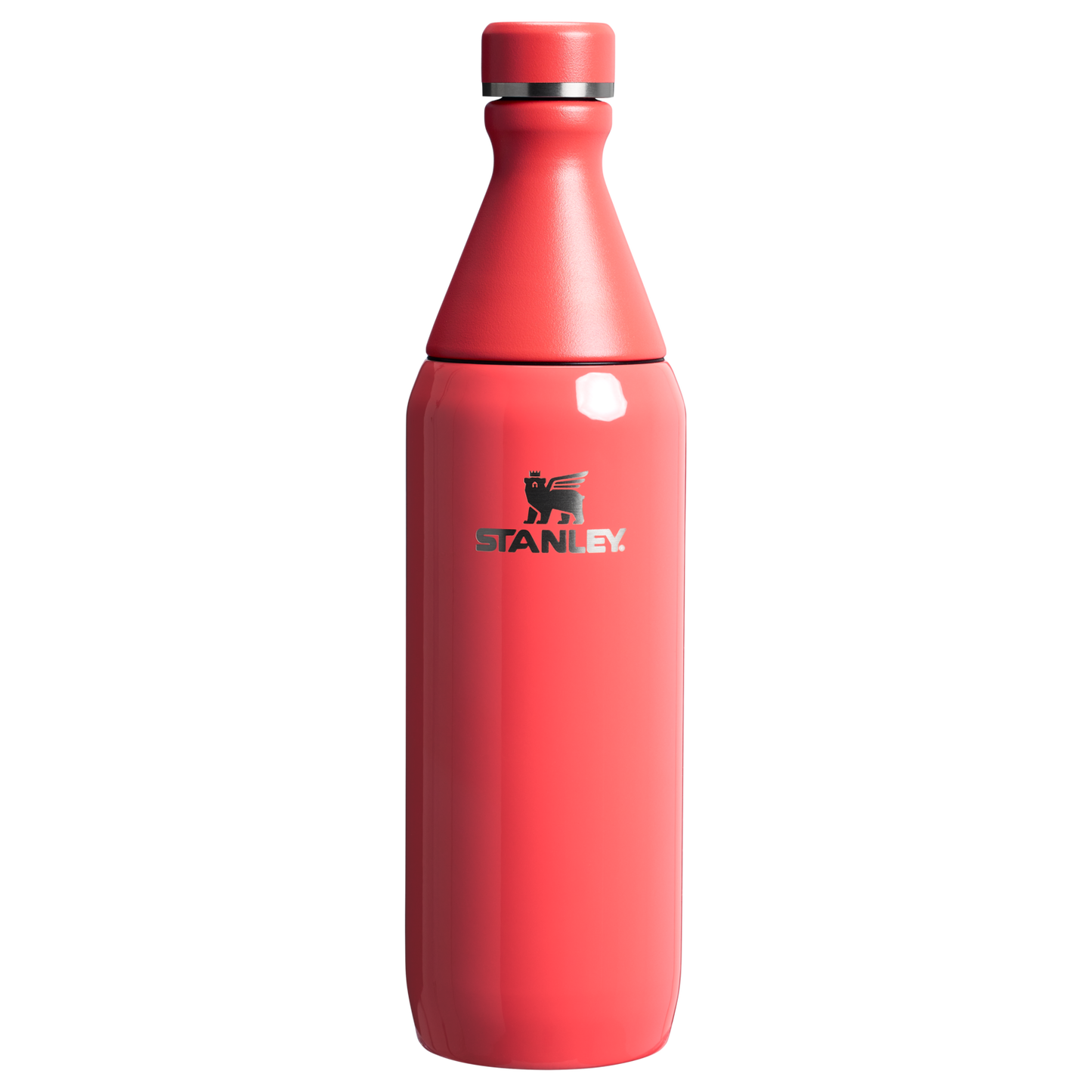 All Day Slim Bottle | 20 OZ FX2