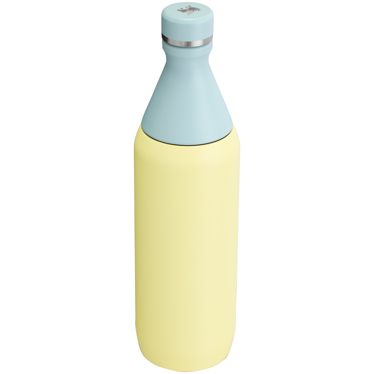 All Day Slim Bottle | 20 OZ FX2