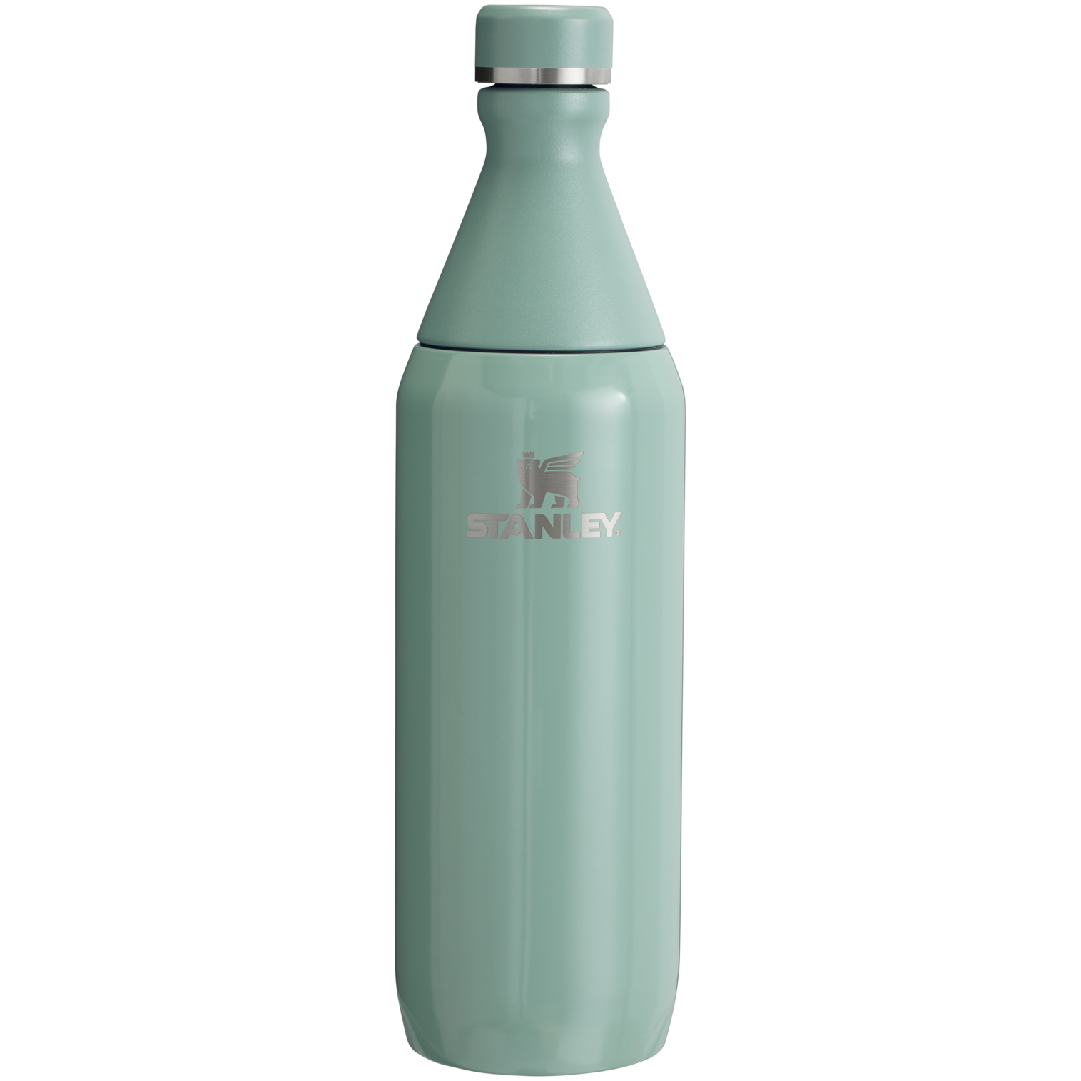 All Day Slim Bottle | 20 OZ FX2