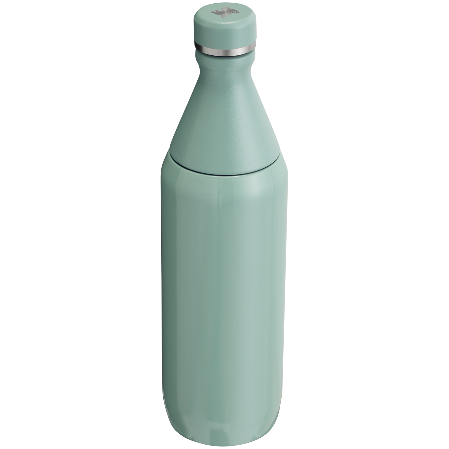 All Day Slim Bottle | 20 OZ FX2