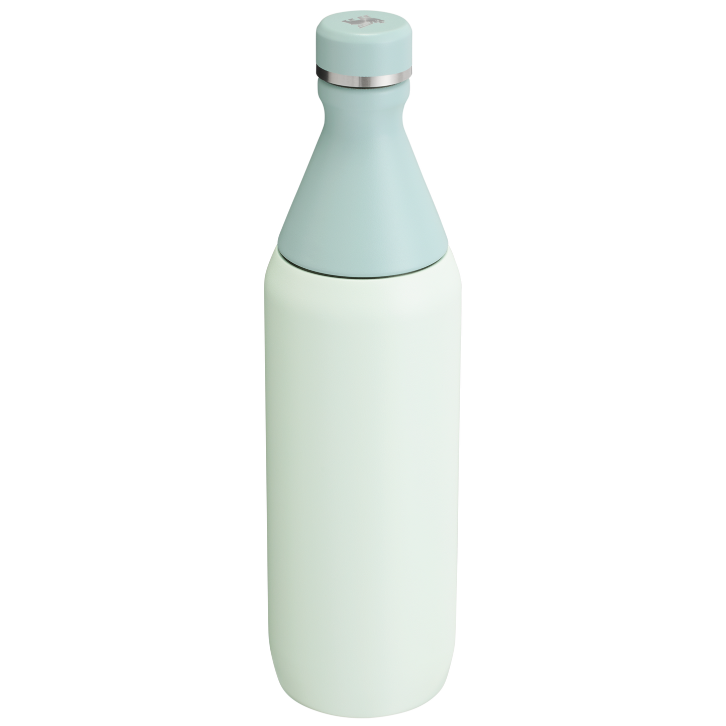 All Day Slim Bottle | 20 OZ FX2