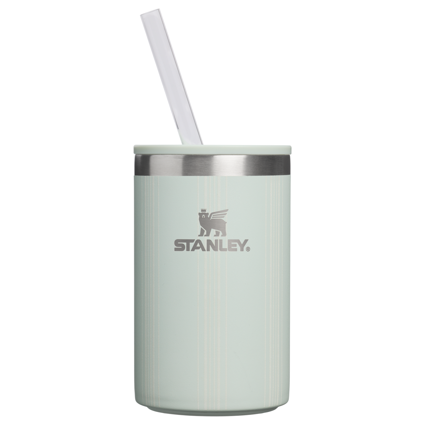 The Everyday Can Cooler Cup | 10 OZ DZ5