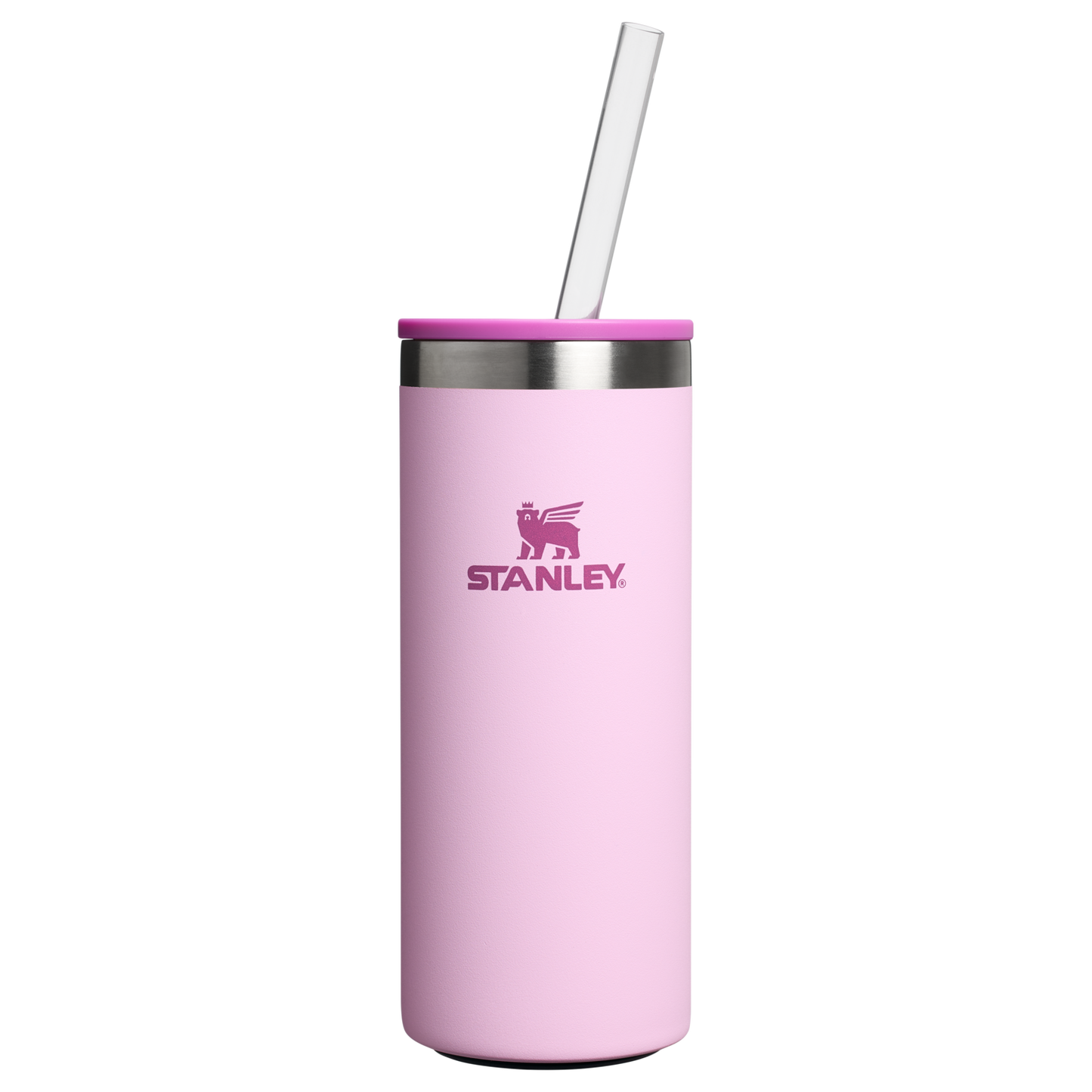 The Everyday Slim Can Cooler Cup | 10 OZ NB2