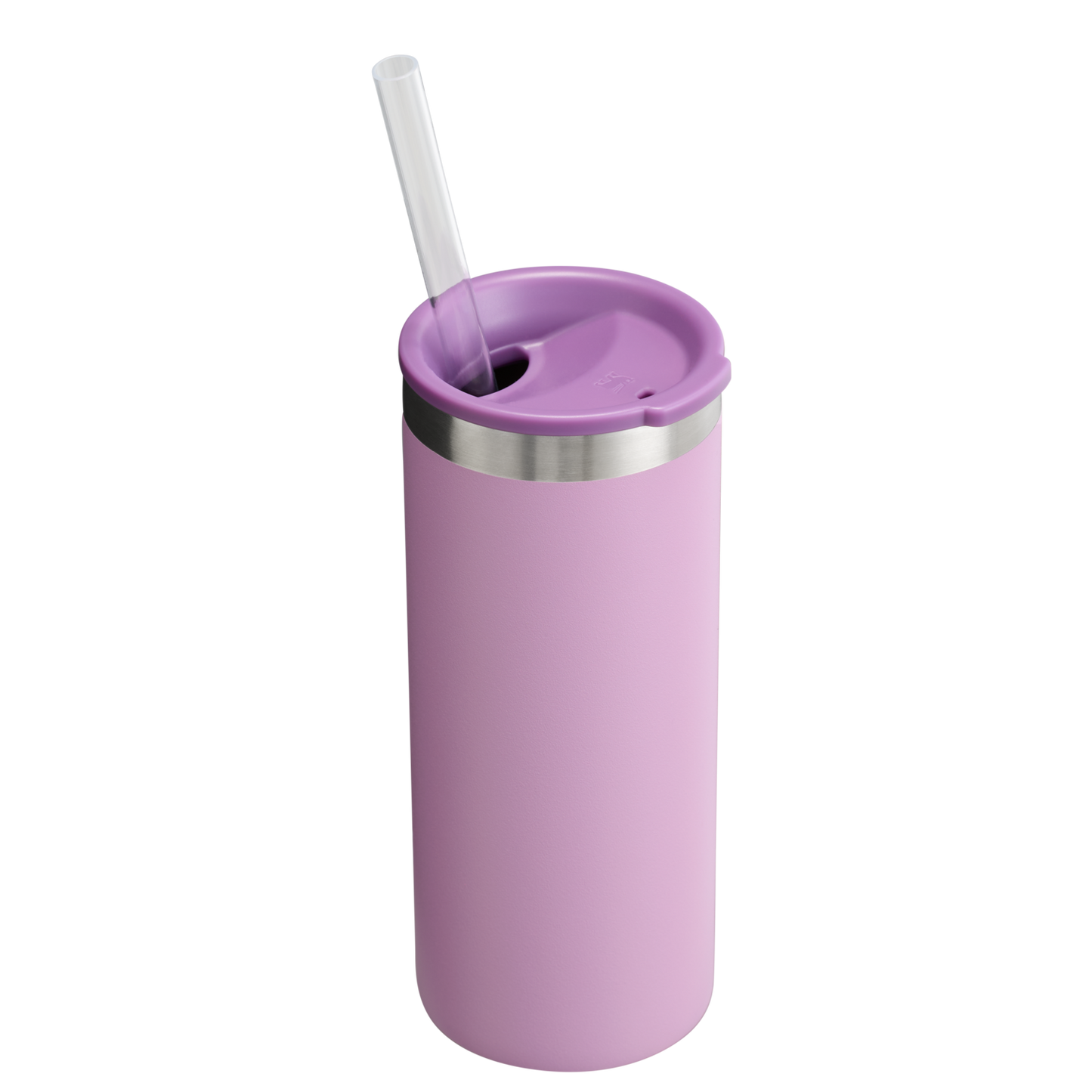 The Everyday Slim Can Cooler Cup | 10 OZ RL3