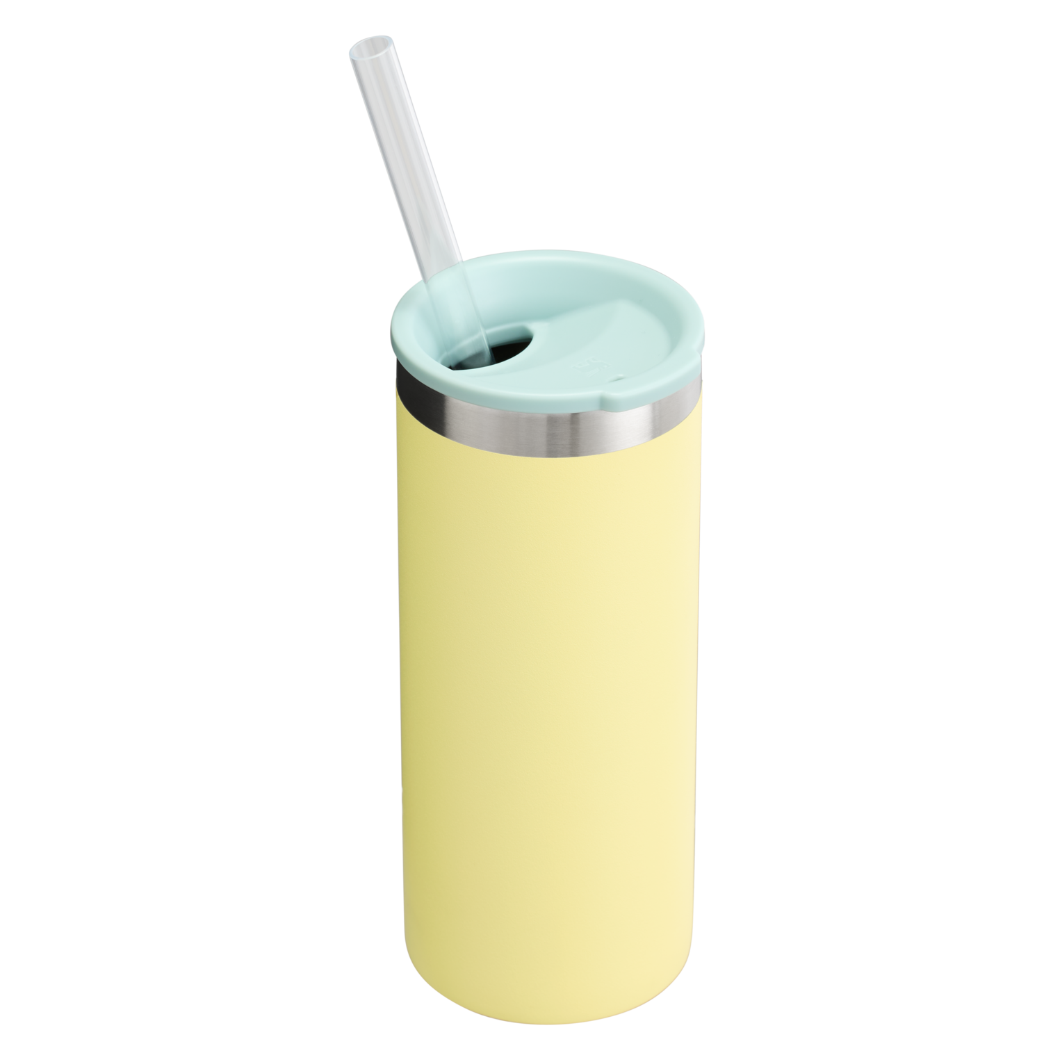 The Everyday Slim Can Cooler Cup | 10 OZ RL3
