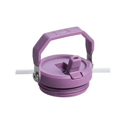 The IceFlow Flip Straw Tumbler | 20 OZ VI6