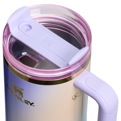 The Wicked for Good Quencher H2.0 FlowState Tumbler | 40 OZ CG7