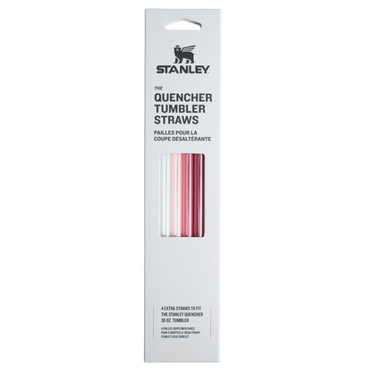 Adventure Quencher Travel Tumbler Straws | 30 OZ | 4-Pack SP7